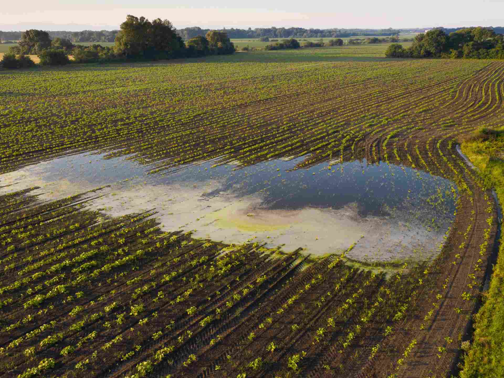 Uneven water distribution